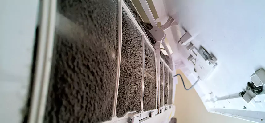 Preventive Air Duct Bacteria Removal in Macon