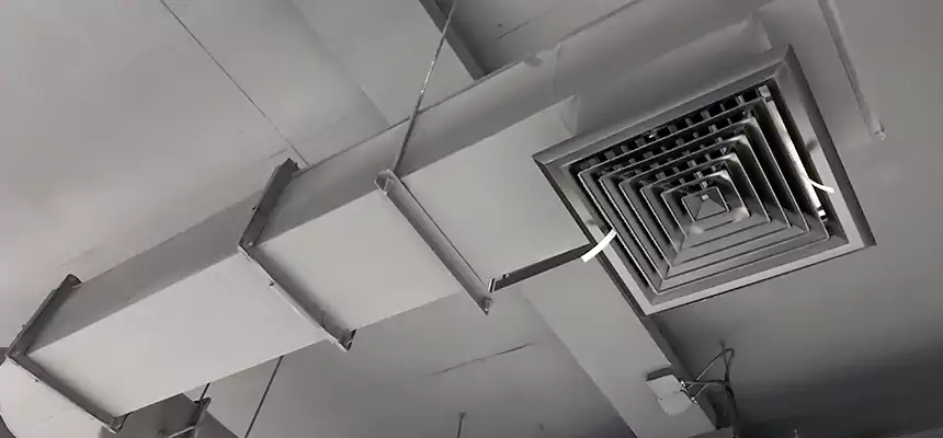 Our Pest Removal From Ducts Services in Macon, GA