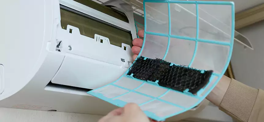 Gentle Ductwork Odor-Control Pet Dander Duct Cleaning in Macon, GA