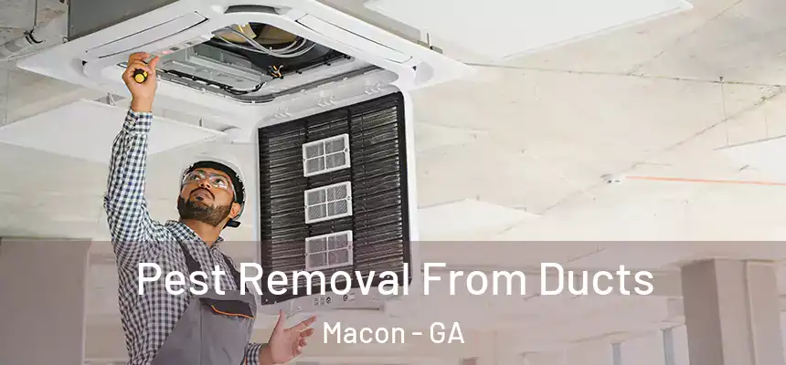 Pest Removal From Ducts Macon - GA