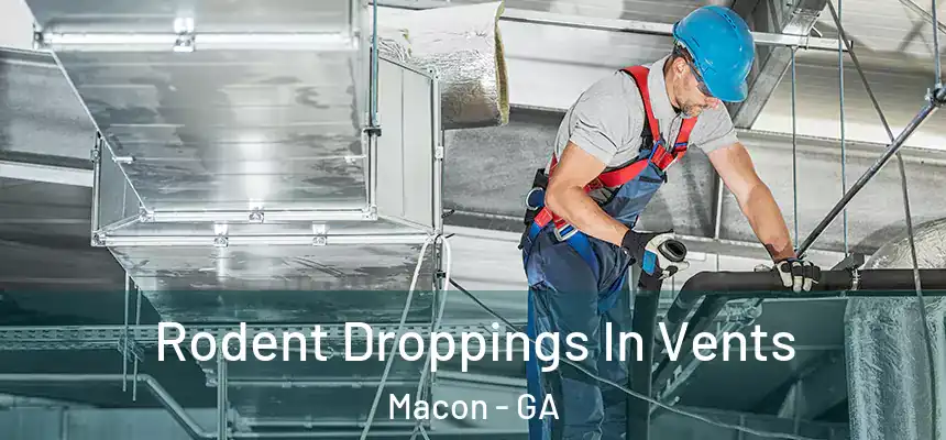  Rodent Droppings In Vents Macon - GA