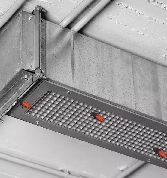 About Air Duct Cockroach Removal in Macon, GA
