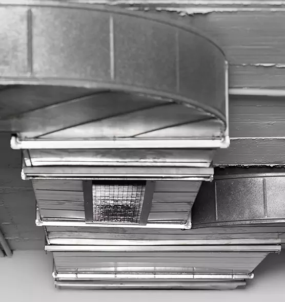 Professional Air Duct Pest Removal in Macon, GA