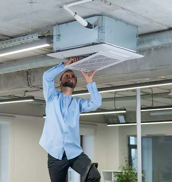 Advanced Rodent Droppings In Vents in Macon, GA
