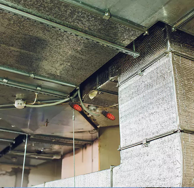 Why Homeowners & Businesses Trust Us in Macon, GA?