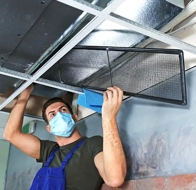 Why Homeowners & Businesses Trust Us in Macon, GA?