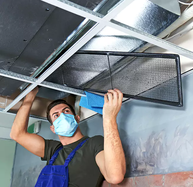 Why Homeowners Businesses Trust Us in Macon, GA?