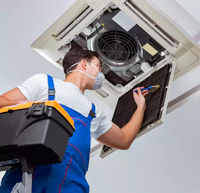 Why Homeowners & Businesses Trust Us in Macon, GA?